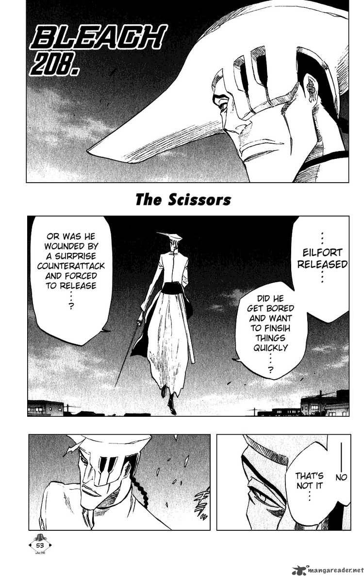 Bleach 208 7