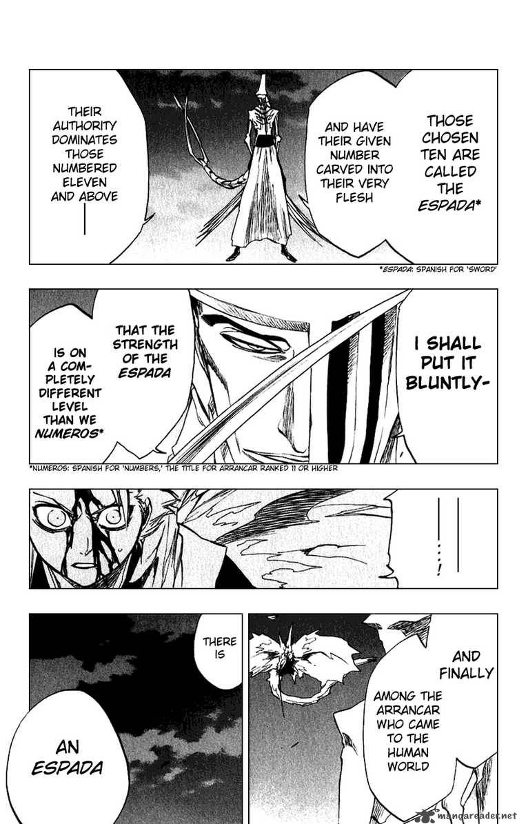 Bleach 209 5