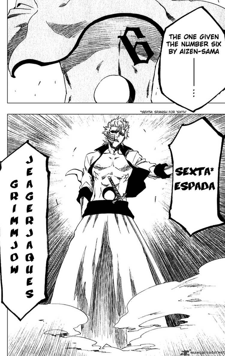 Bleach 209 6