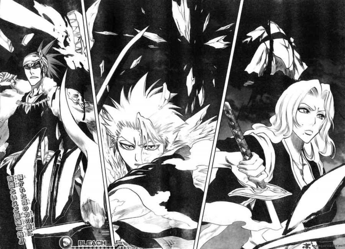 Bleach 210 18