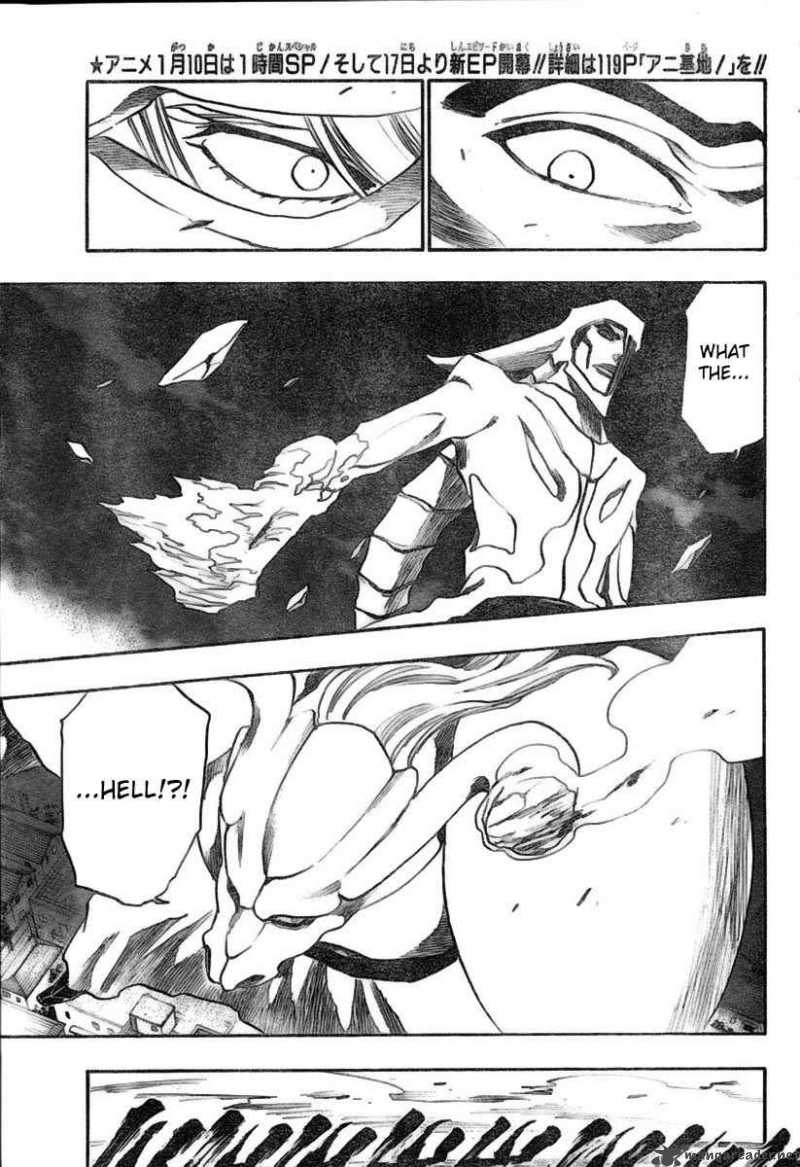 Bleach 210 4