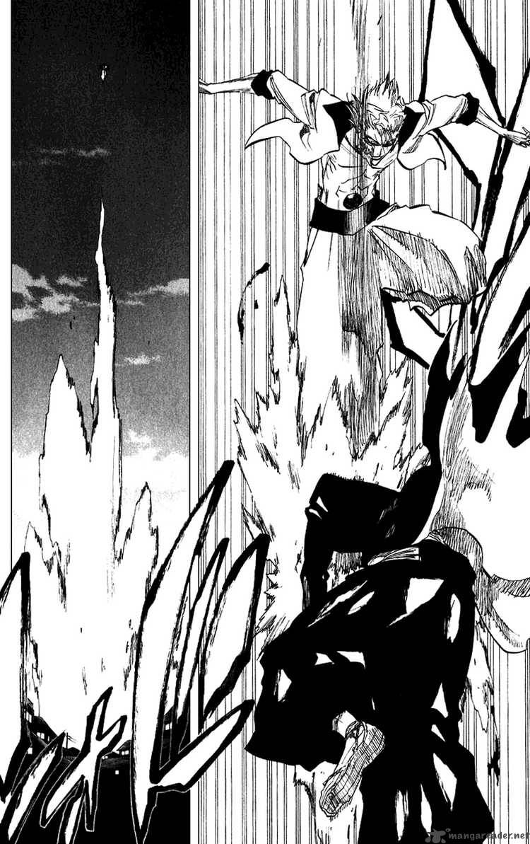 Bleach 211 10