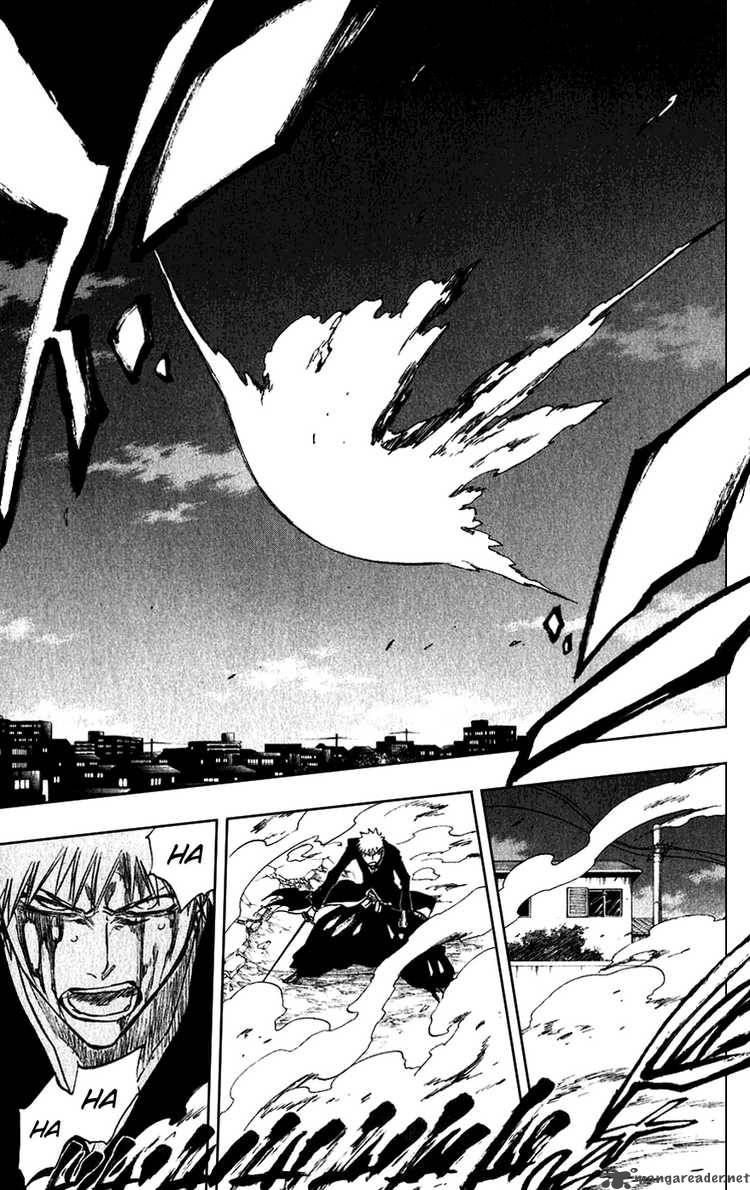 Bleach 211 14