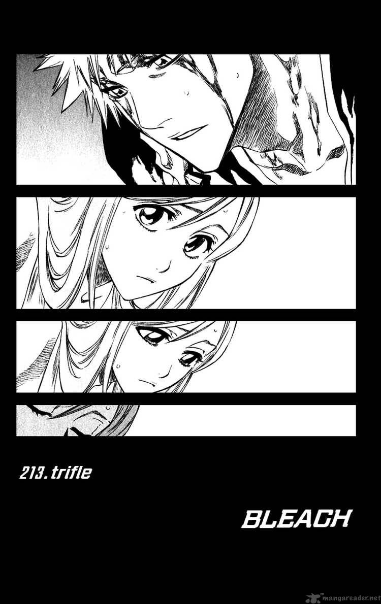 Bleach 213 8