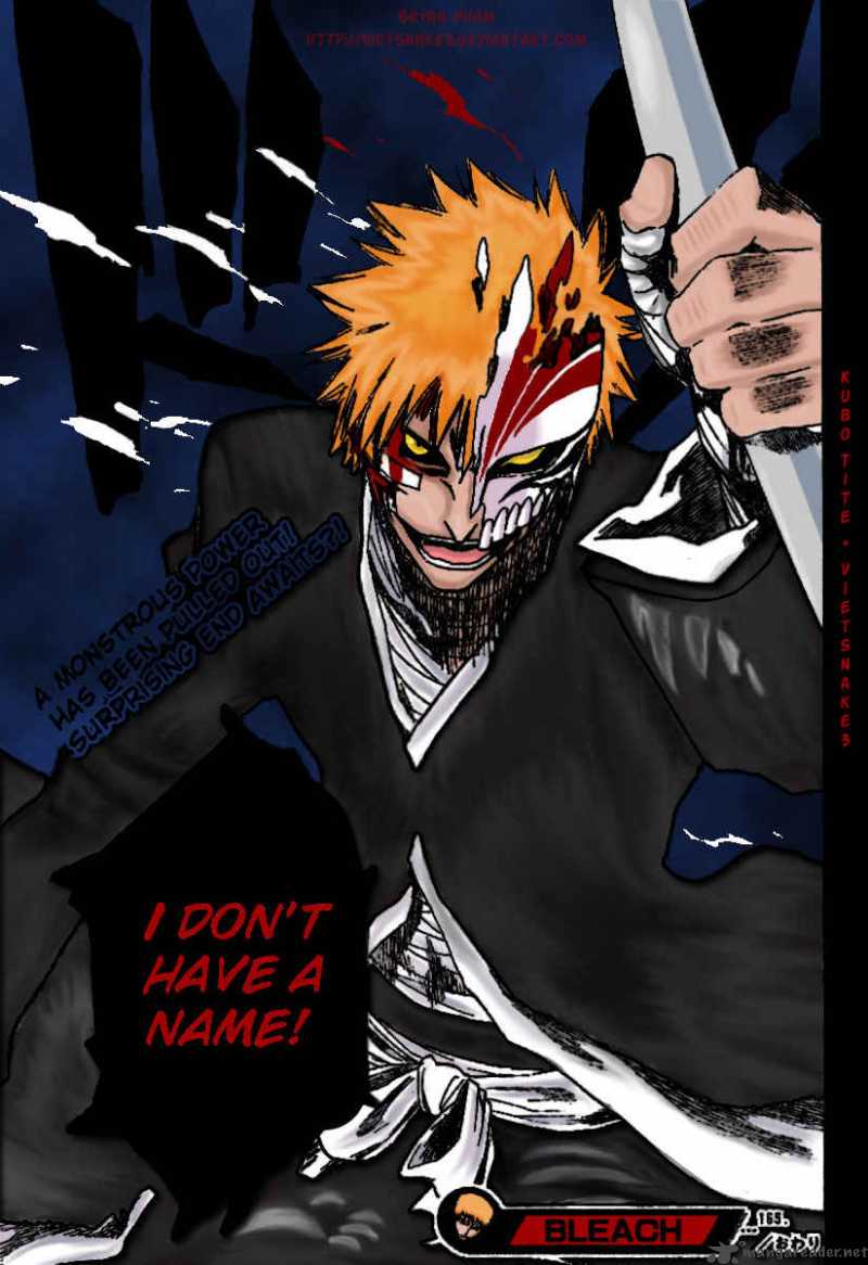 Bleach 214 1