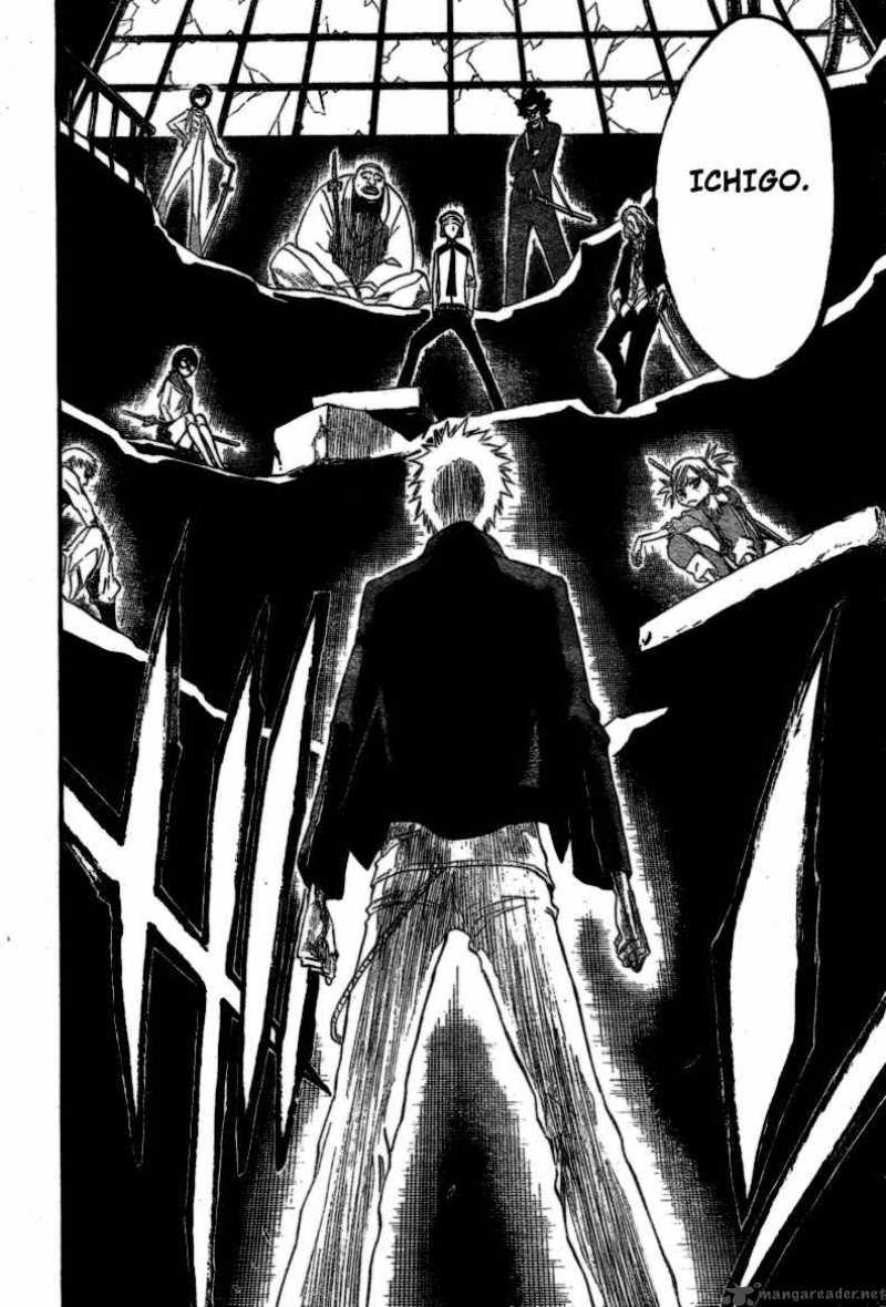 Bleach 214 20