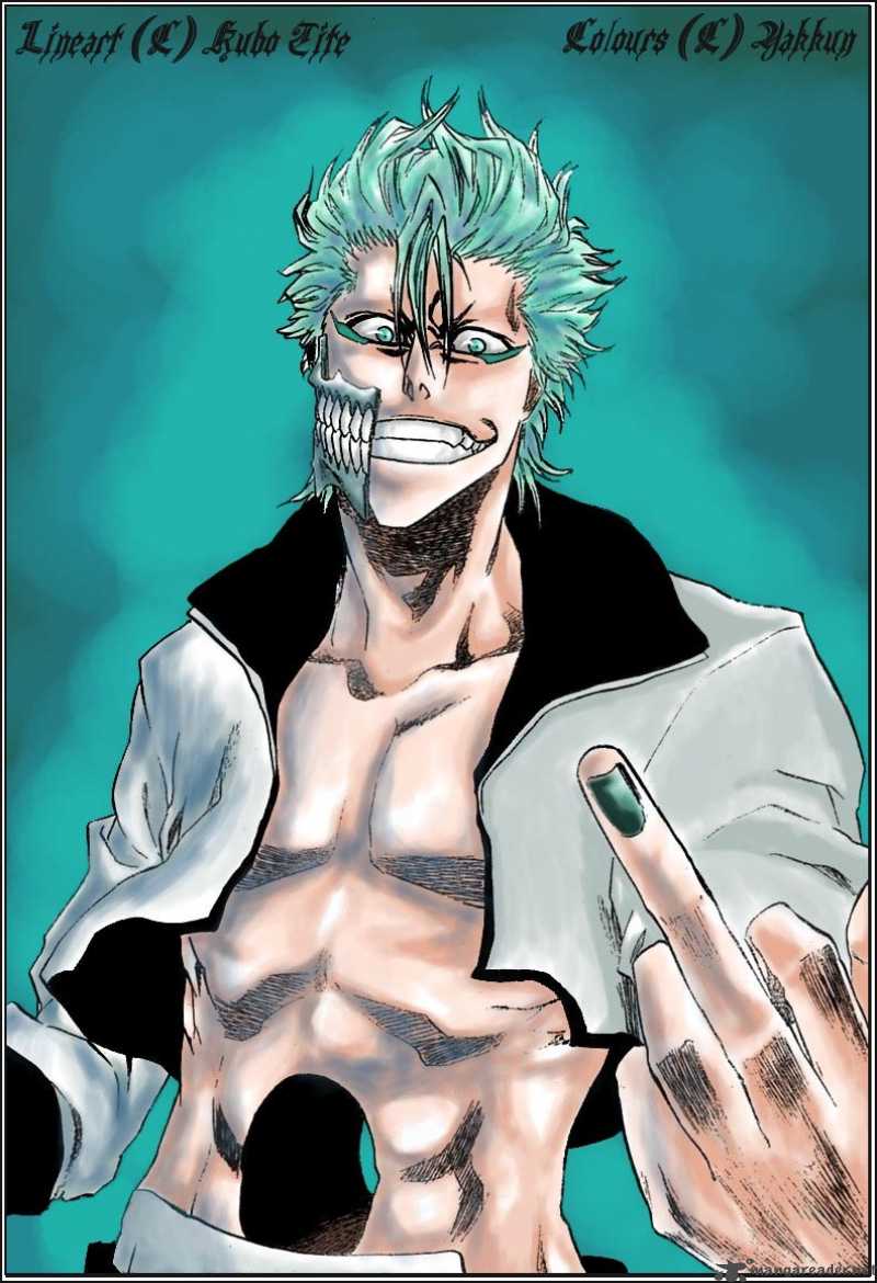 Bleach 214 22