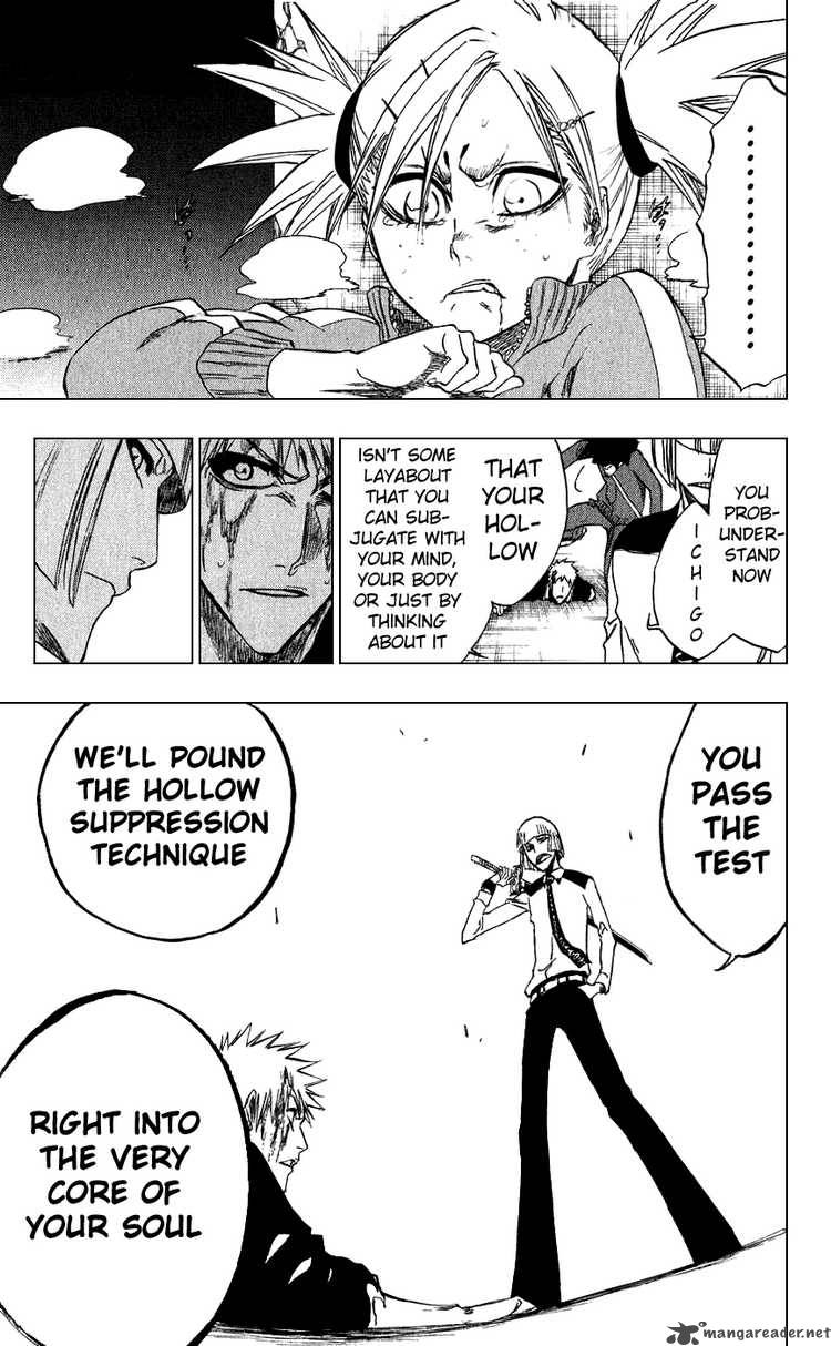 Bleach 216 17