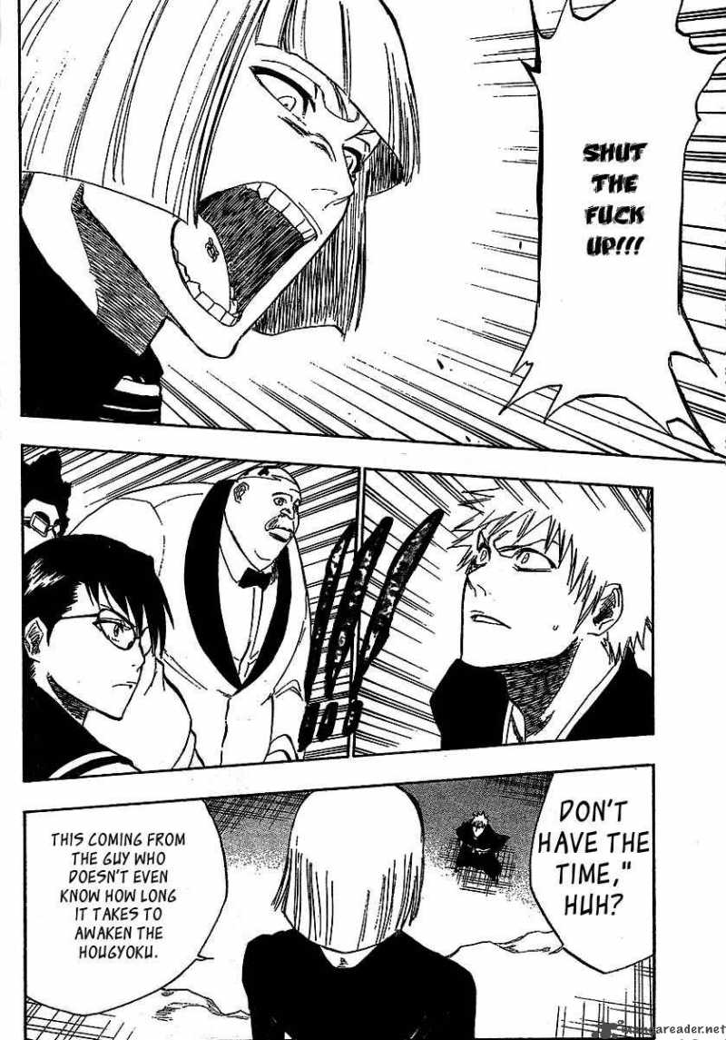 Bleach 217 13