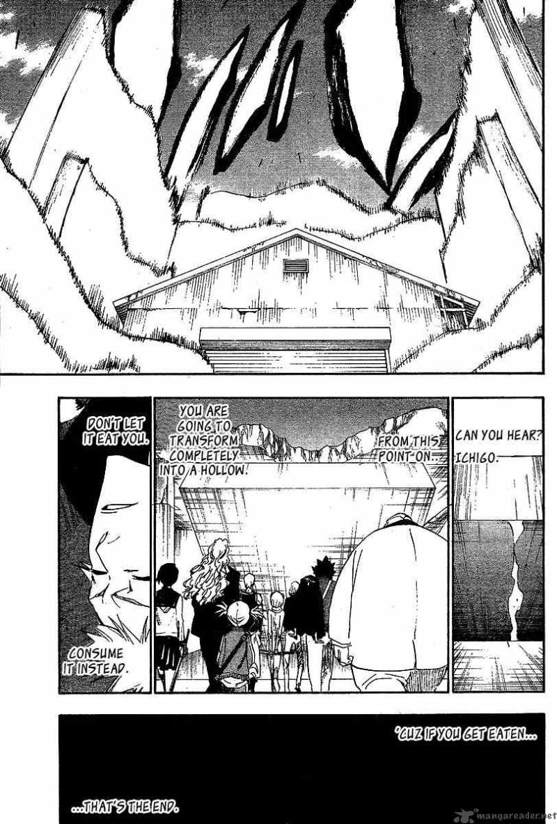 Bleach 217 18