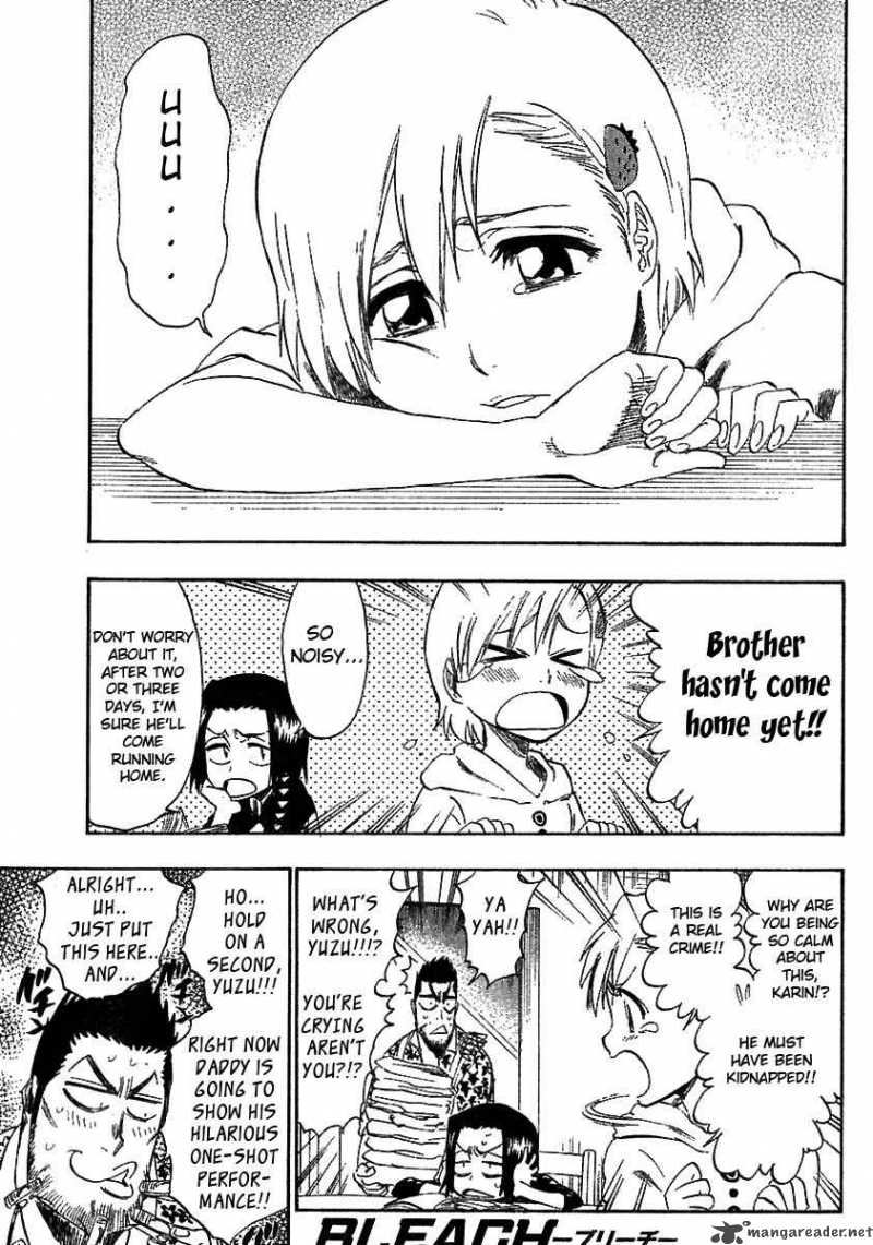 Bleach 217 2