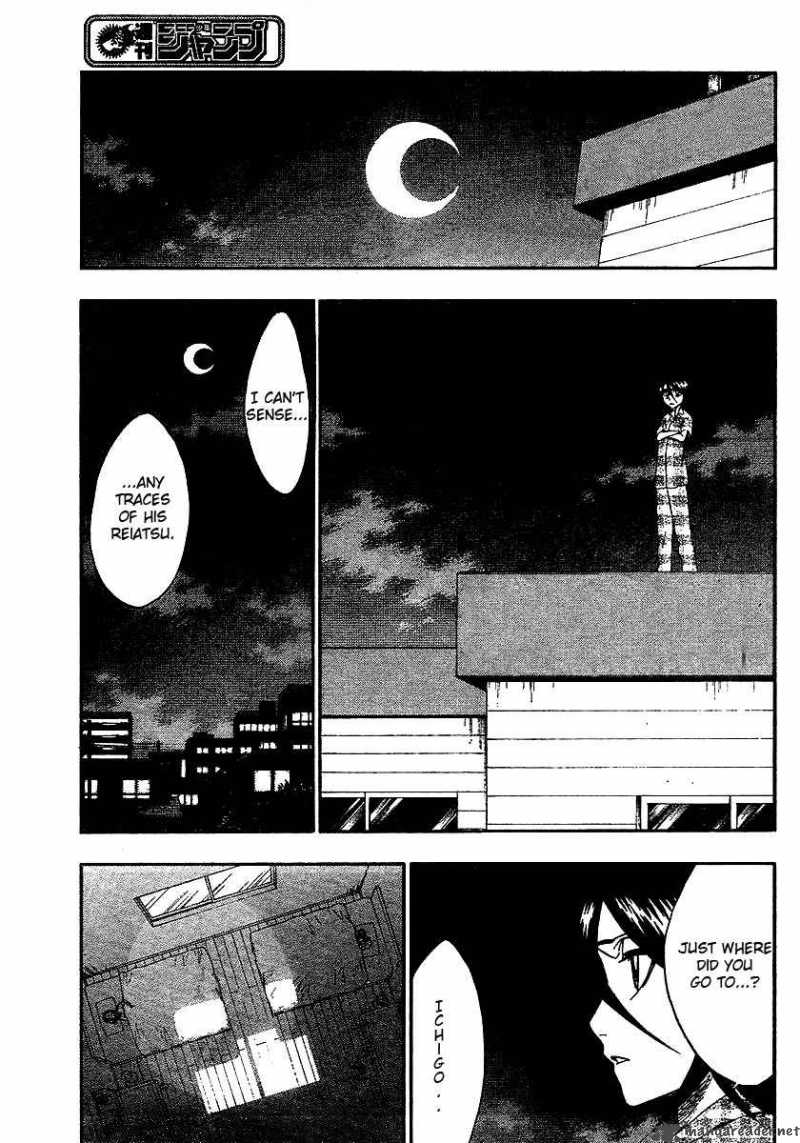 Bleach 217 4