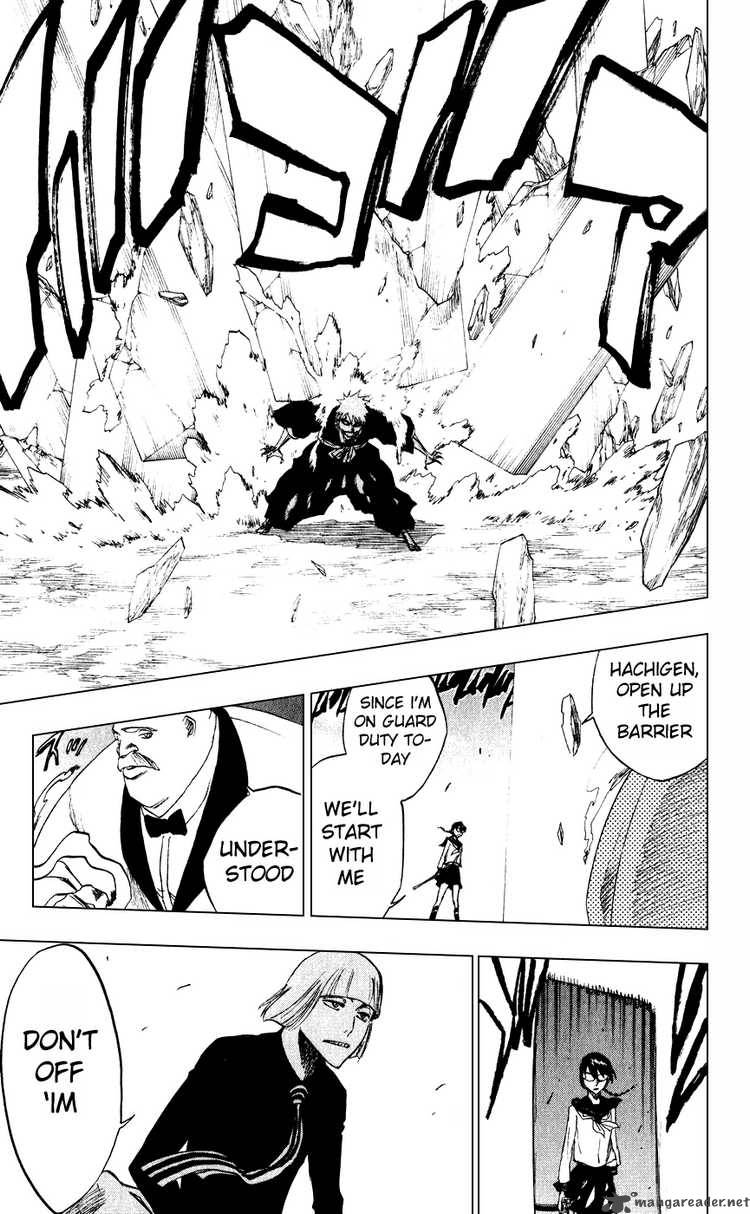 Bleach 218 14