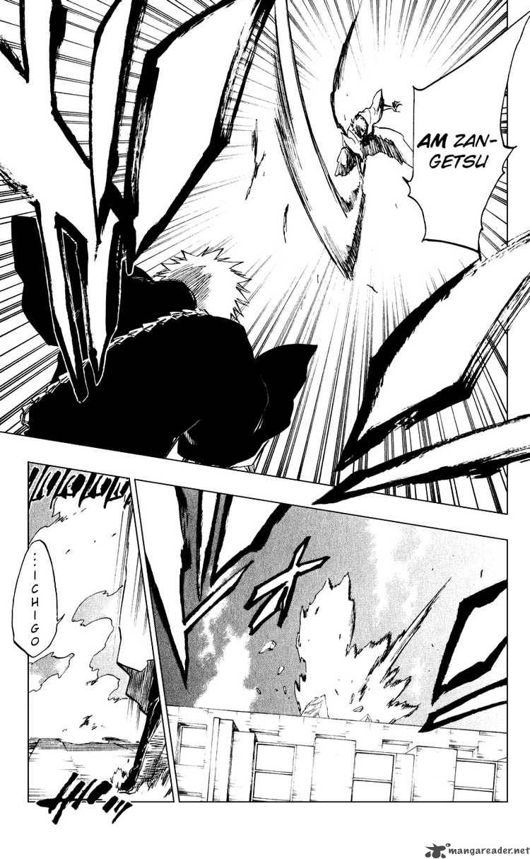 Bleach 218 18