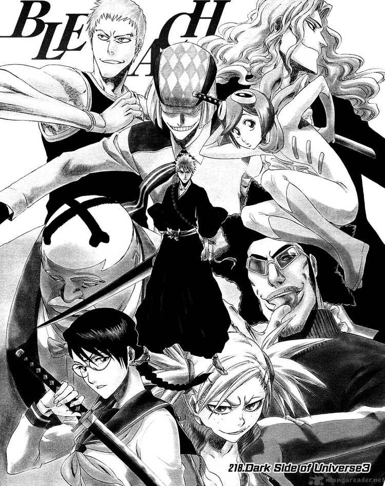 Bleach 218 2