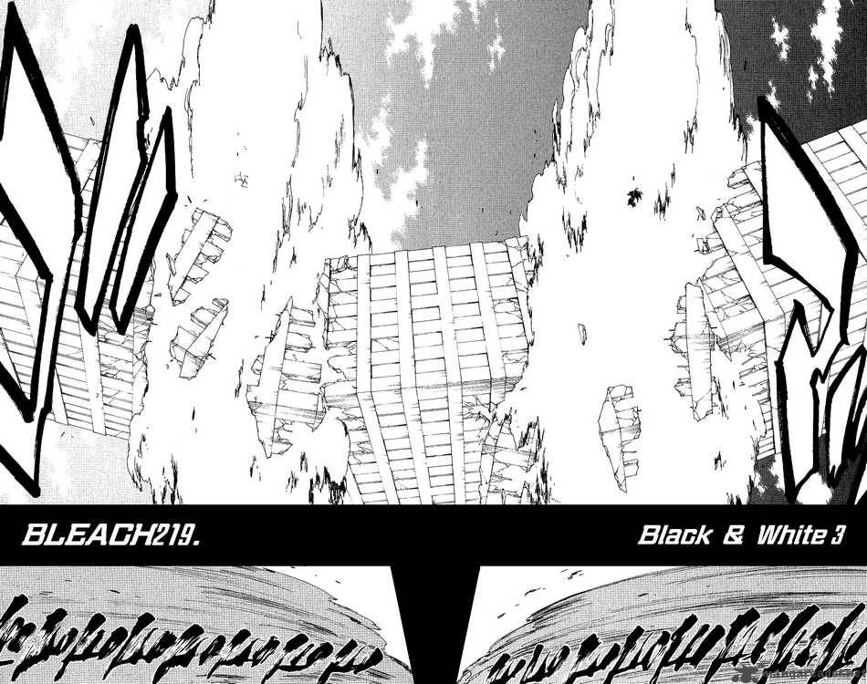 Bleach 219 4