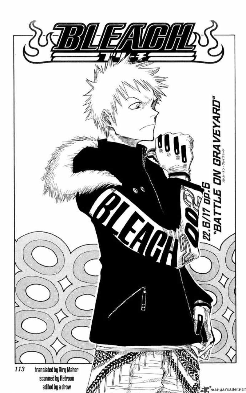 Bleach 22 6