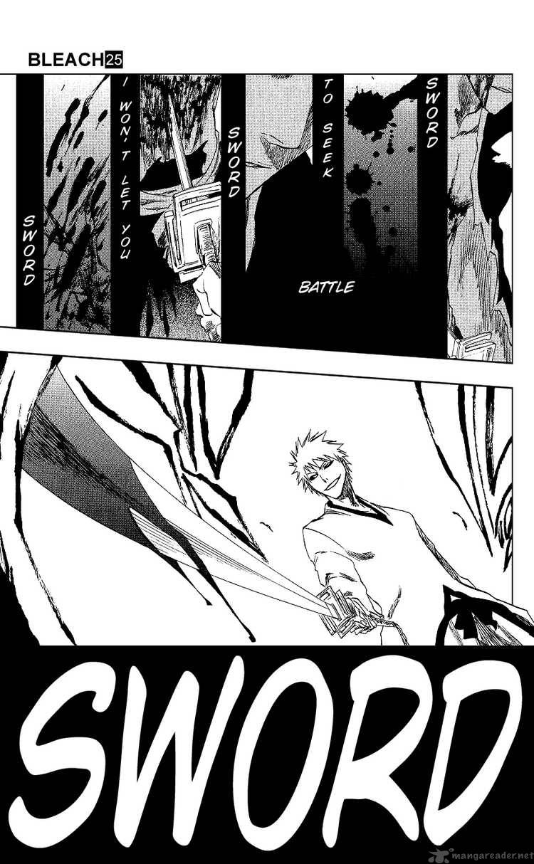 Bleach 220 17
