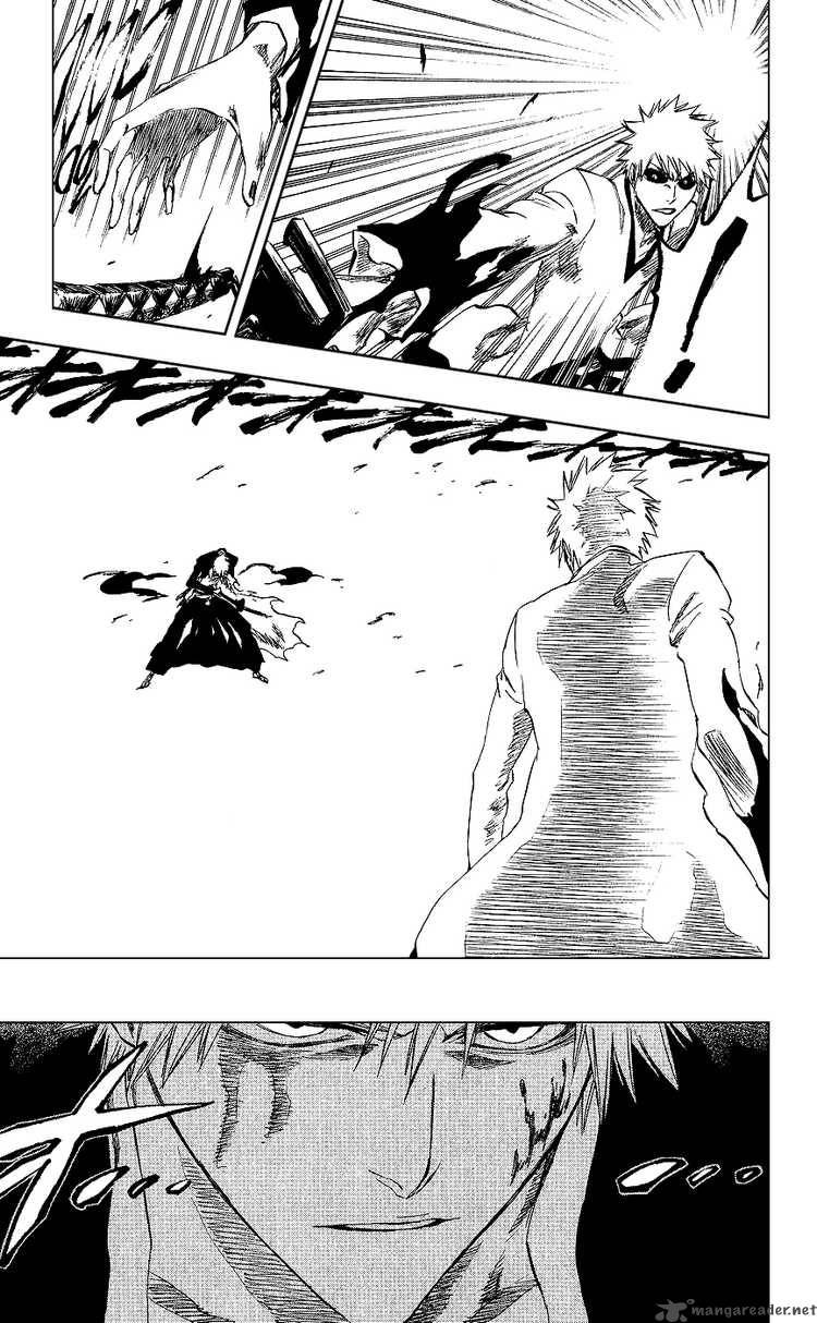 Bleach 220 19