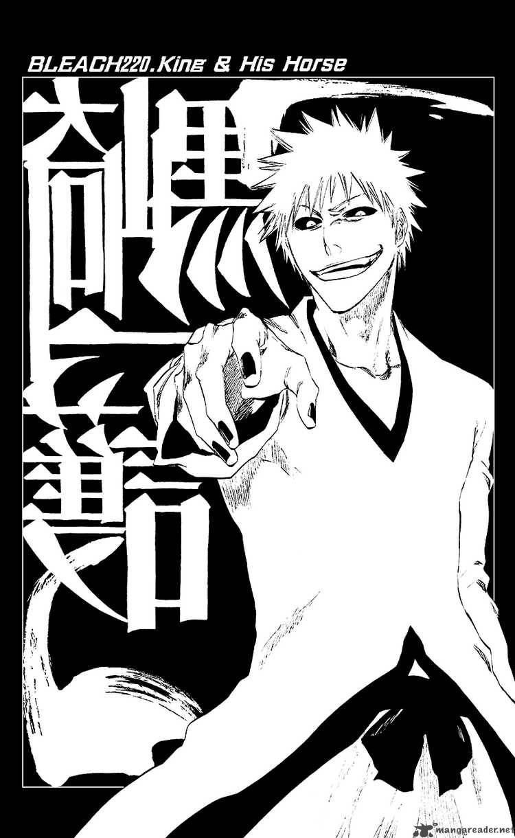 Bleach 220 7