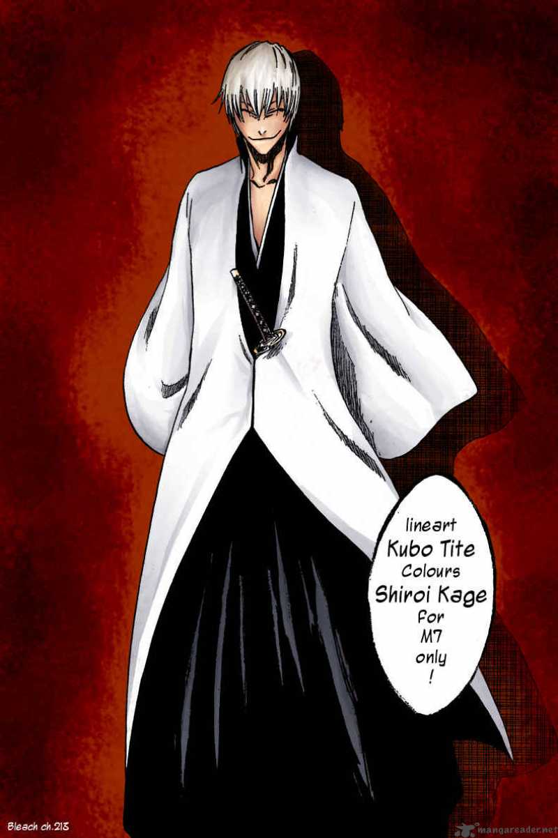 Bleach 221 1