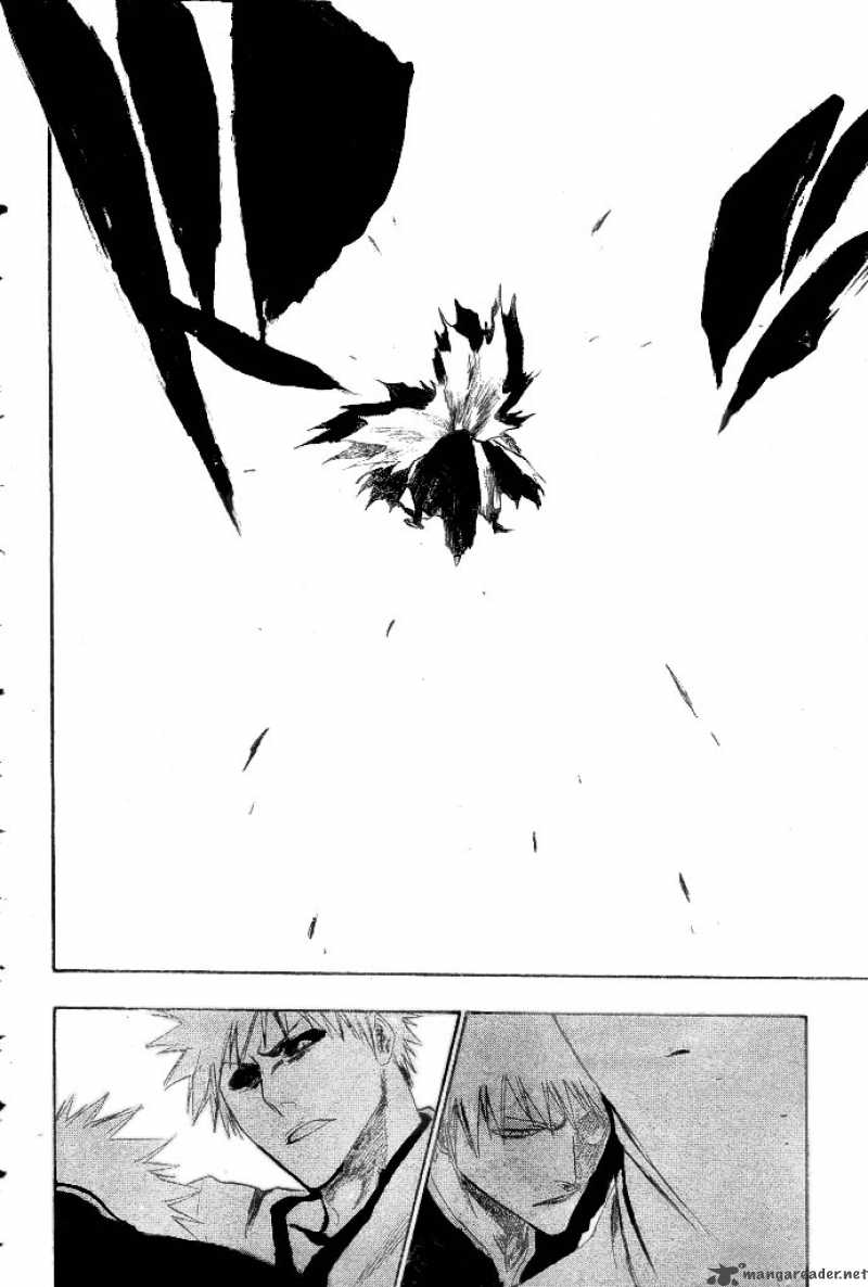 Bleach 221 18