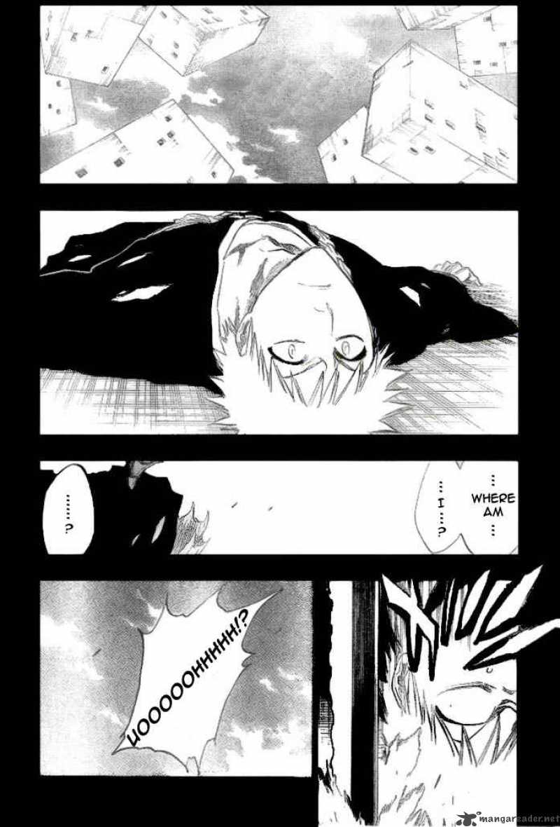 Bleach 221 8