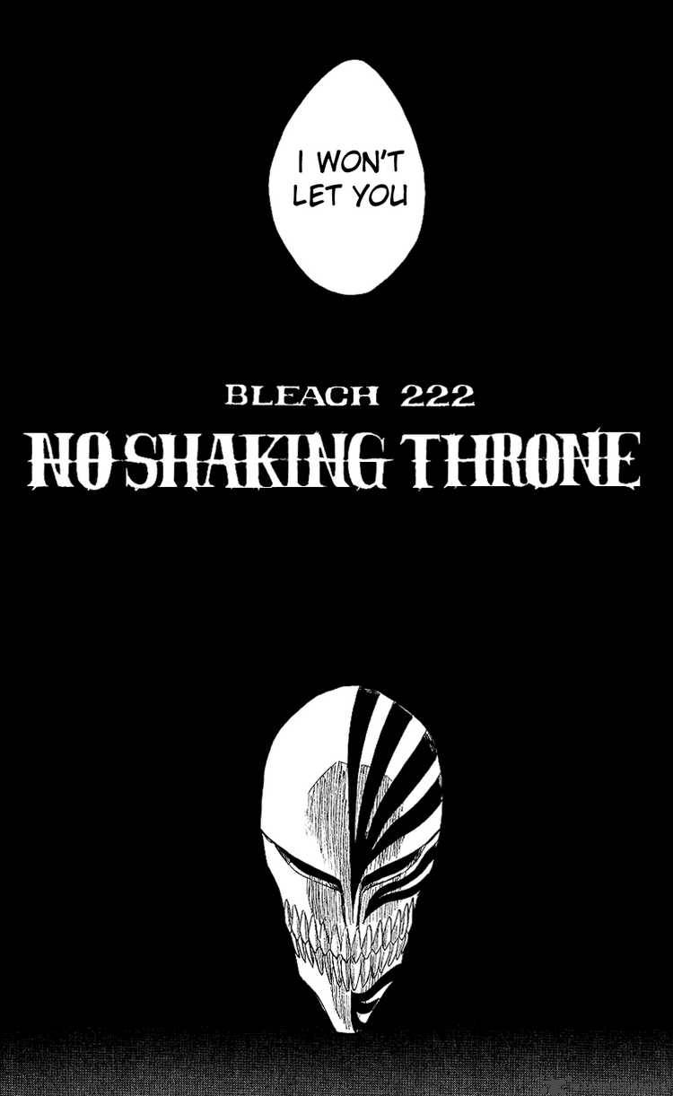Bleach 222 14