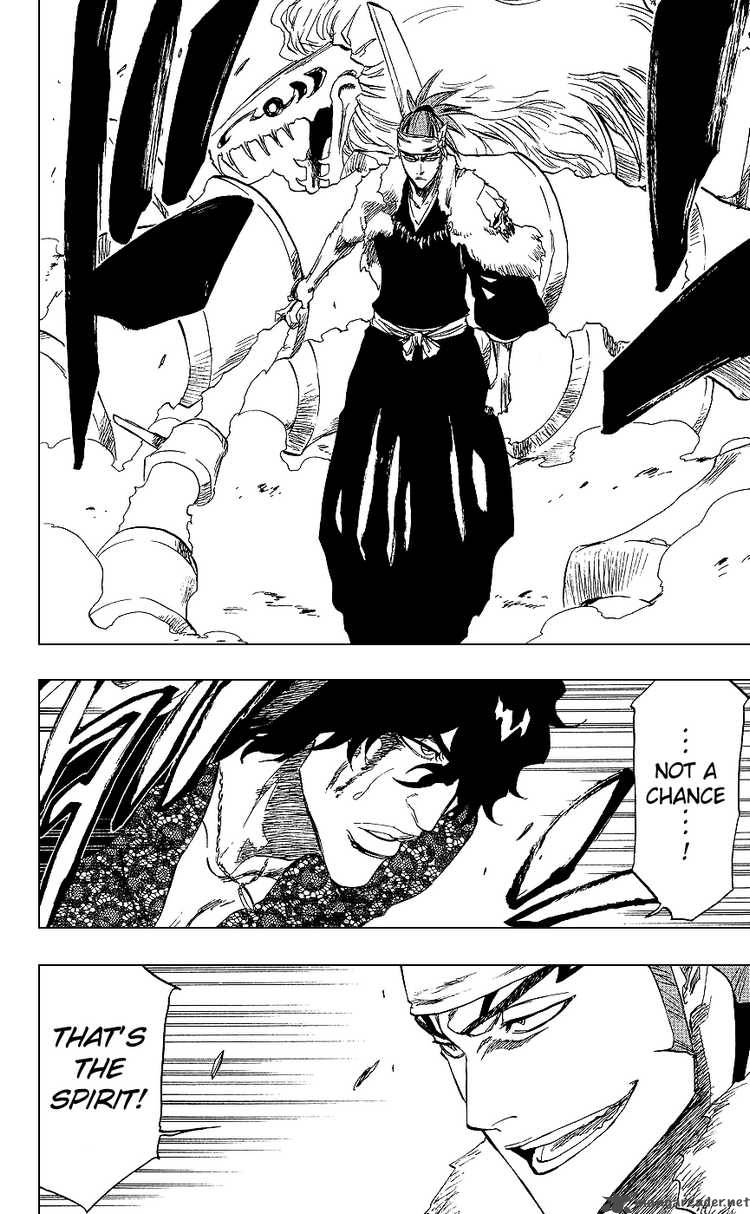 Bleach 223 18