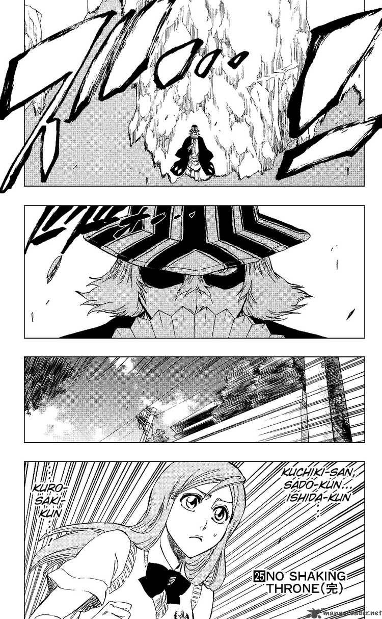 Bleach 223 19