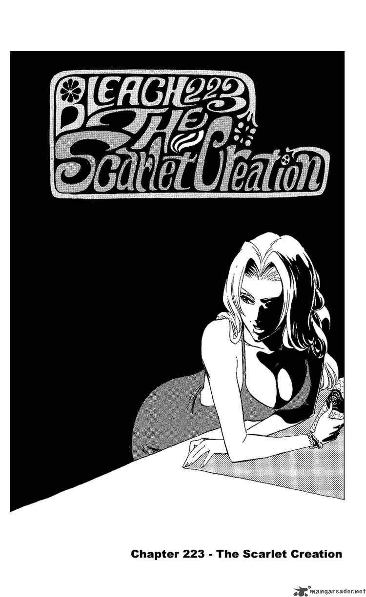 Bleach 223 3