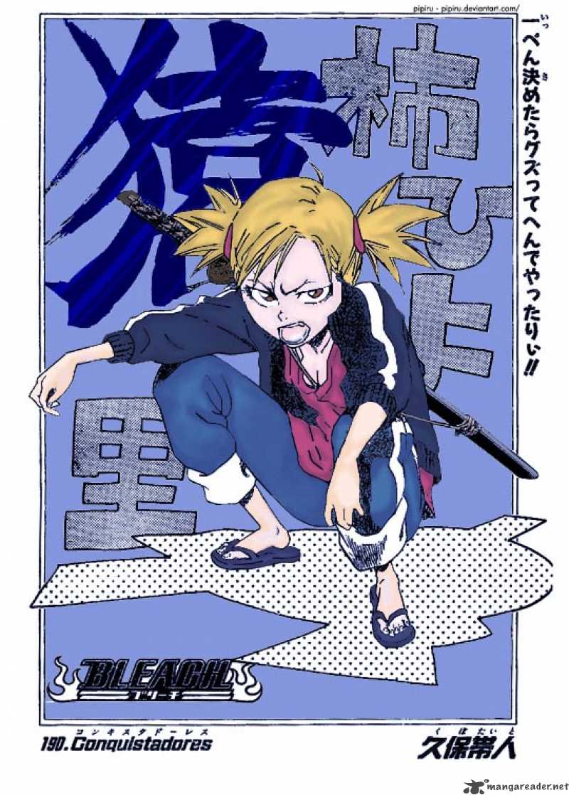 Bleach 224 1