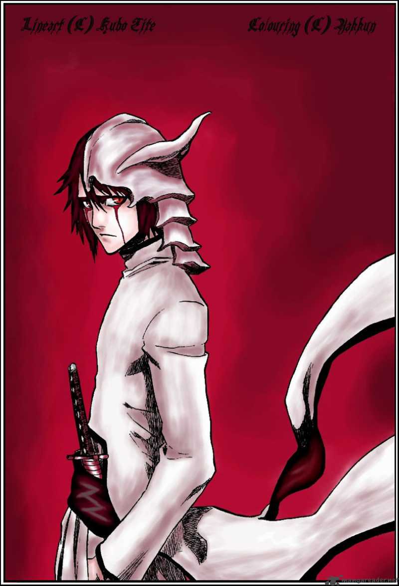 Bleach 224 2
