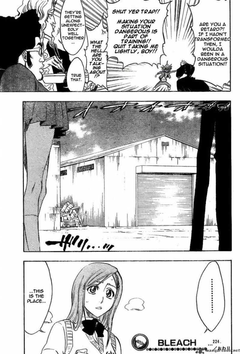 Bleach 224 22