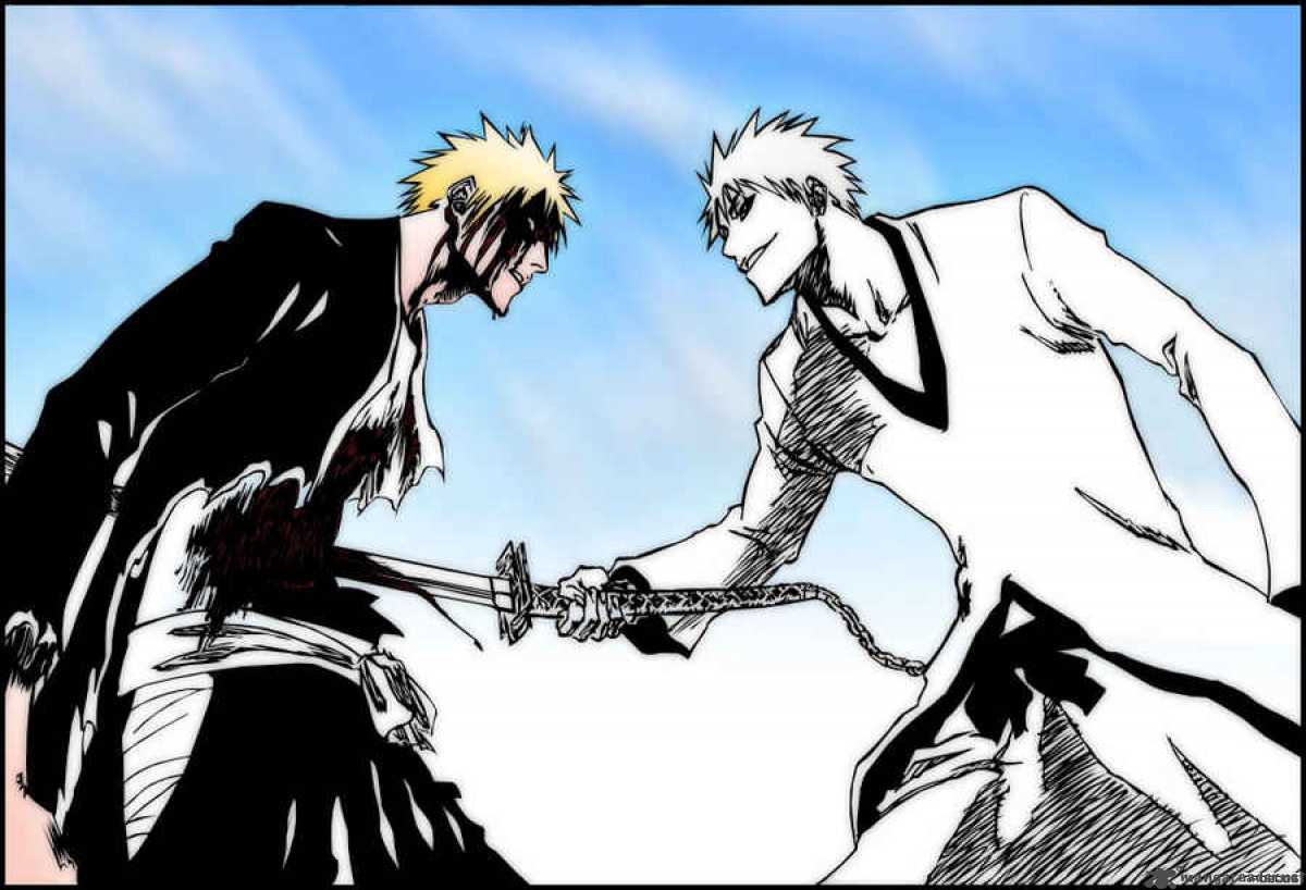 Bleach 224 23