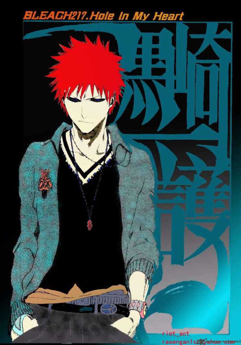 Bleach 224 25