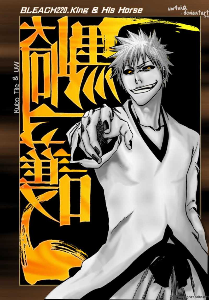 Bleach 225 1