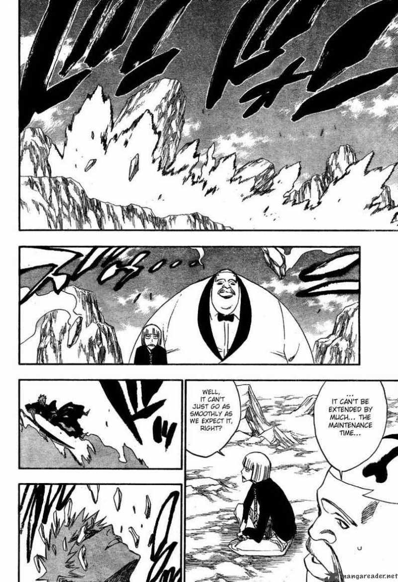 Bleach 225 12