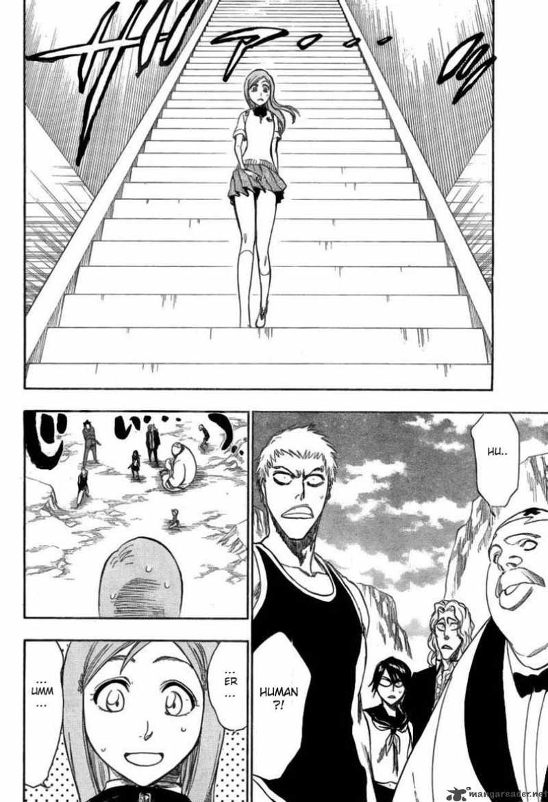 Bleach 225 16