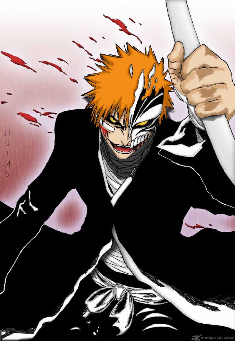 Bleach 225 24