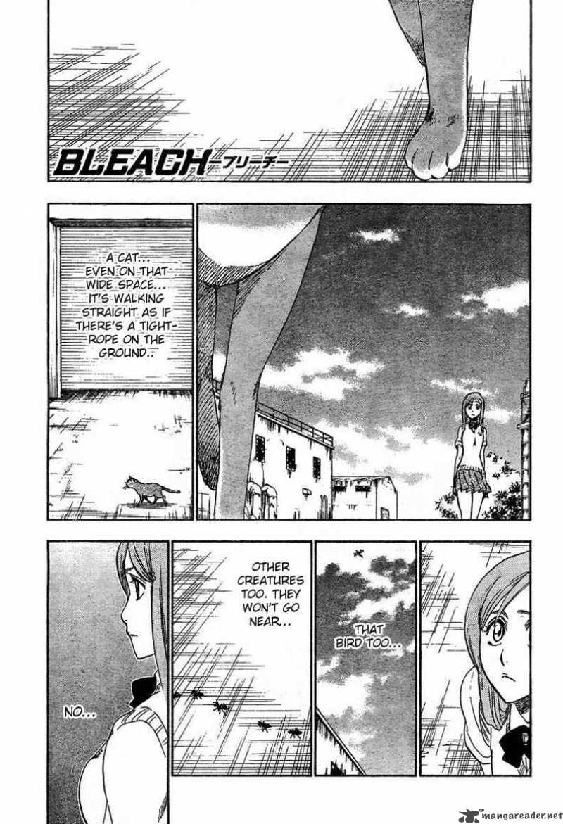 Bleach 225 5