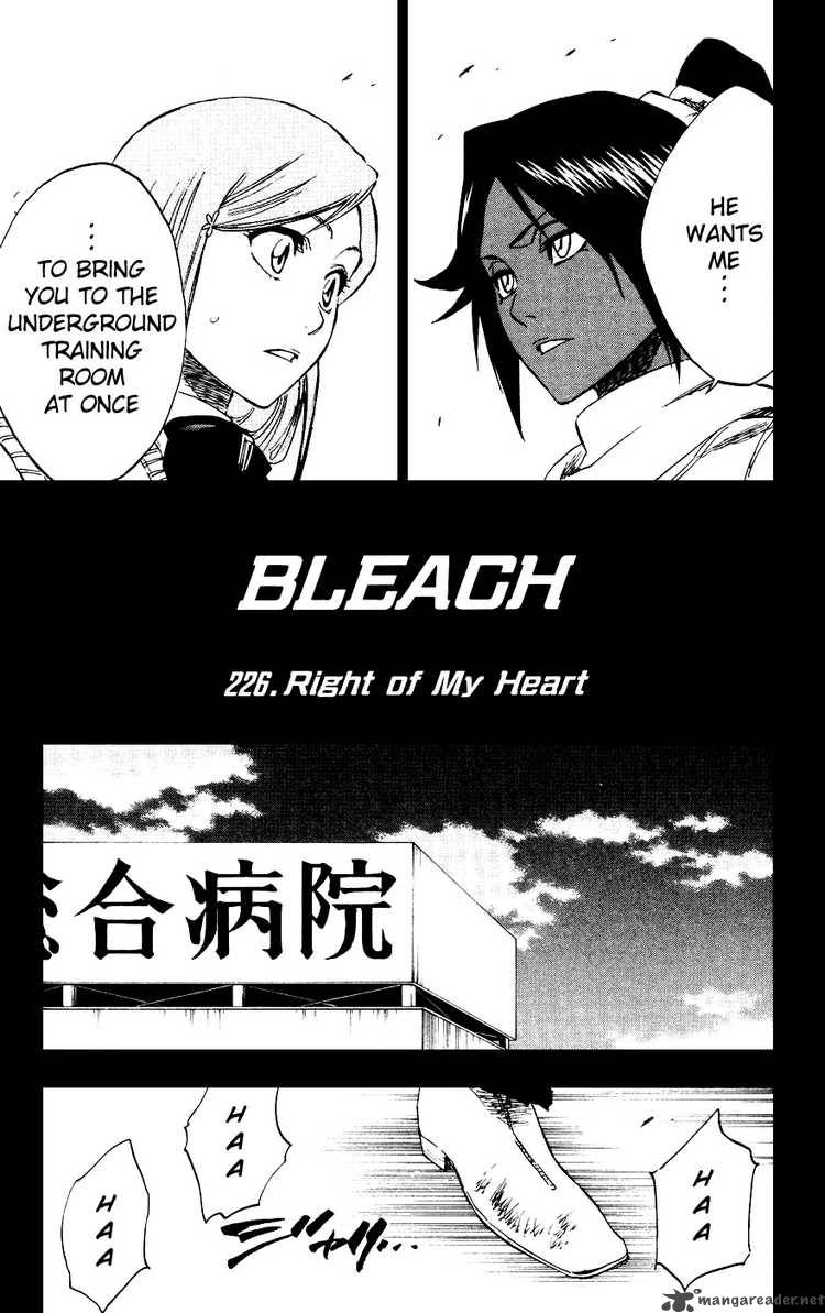 Bleach 226 5
