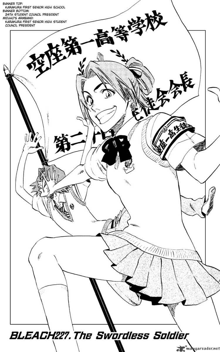 Bleach 227 6