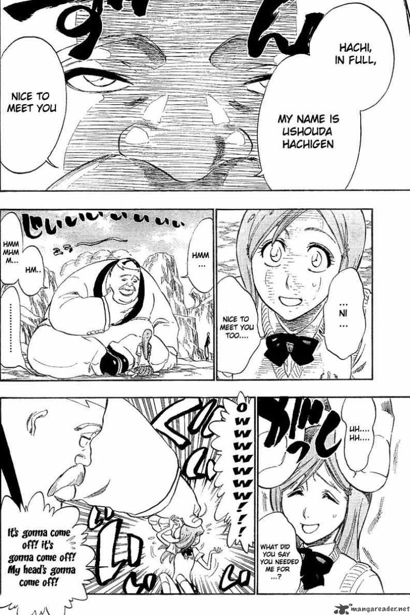 Bleach 228 13