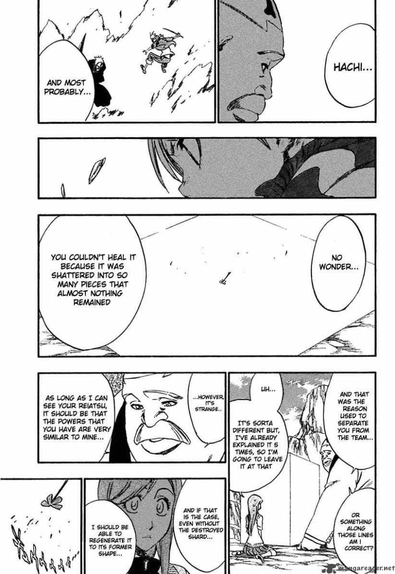 Bleach 228 16