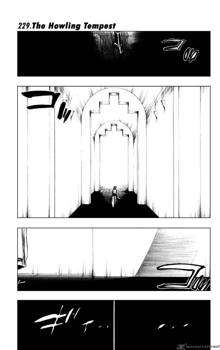 Bleach 229 1
