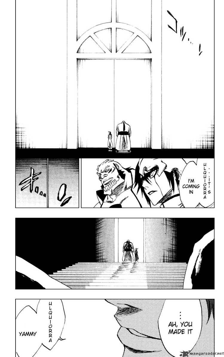 Bleach 229 11