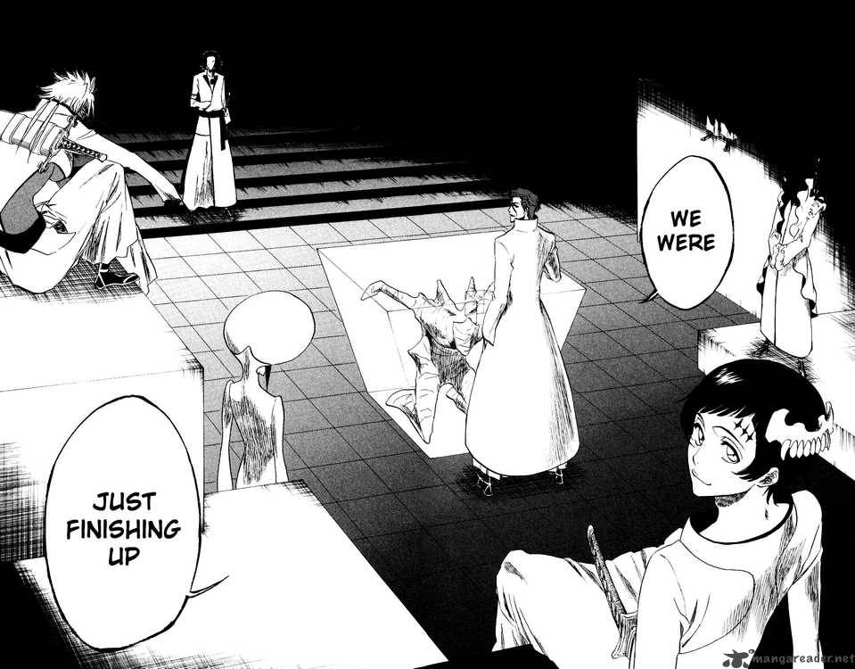 Bleach 229 12