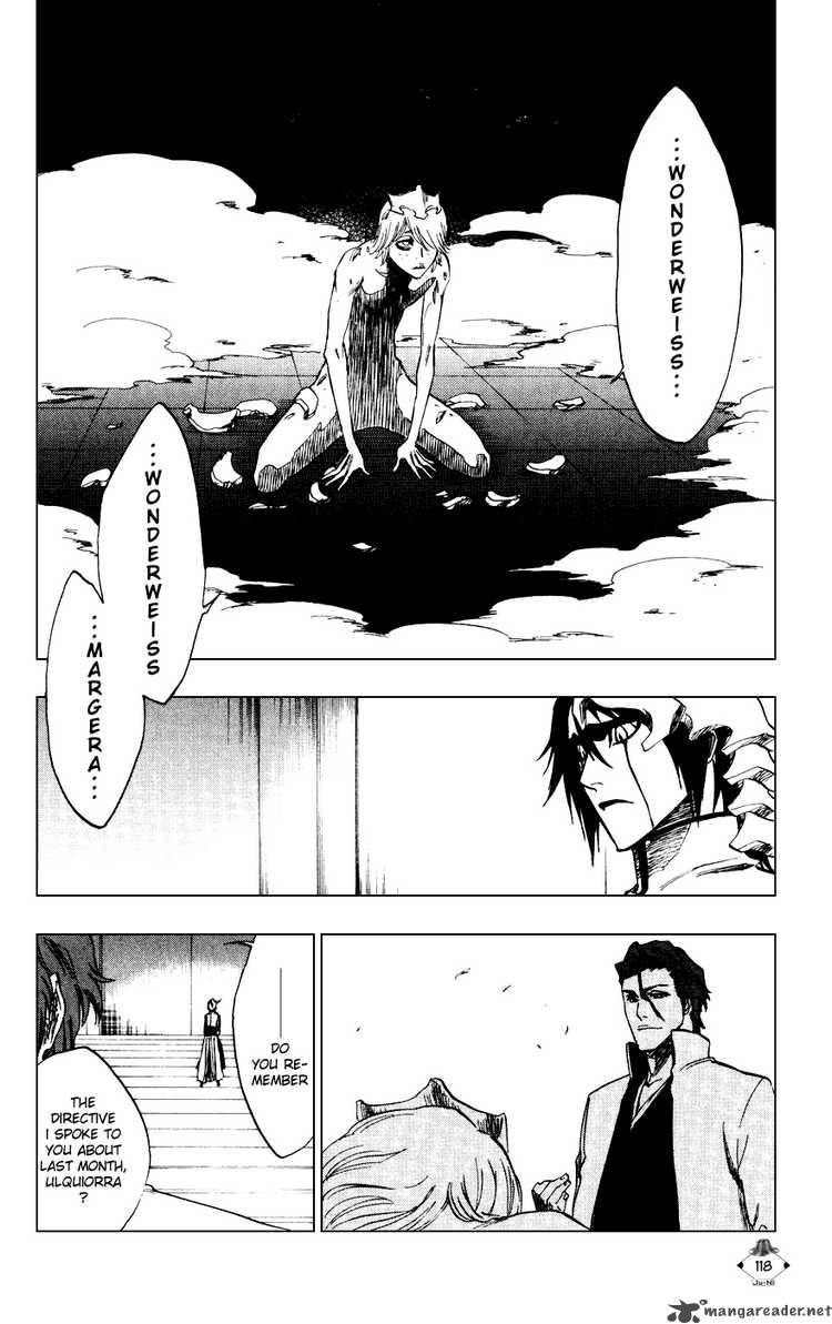 Bleach 229 15