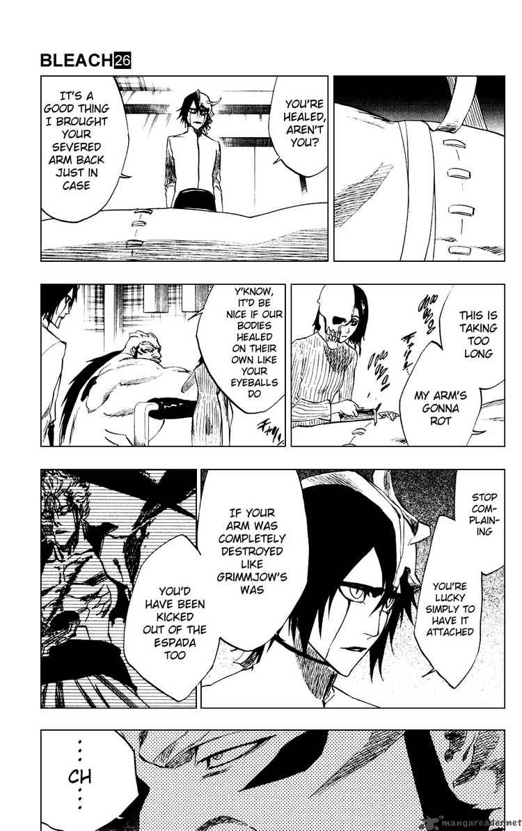 Bleach 229 3